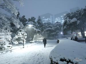 雪の日比谷公園